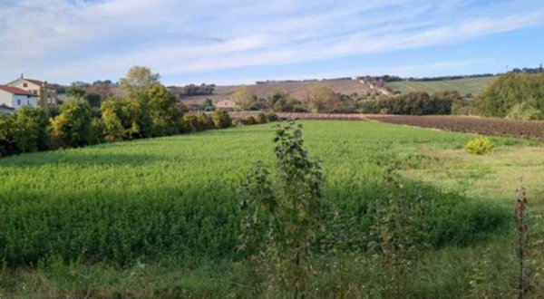 terreno edificabile in vendita a Mondolfo in zona Marotta