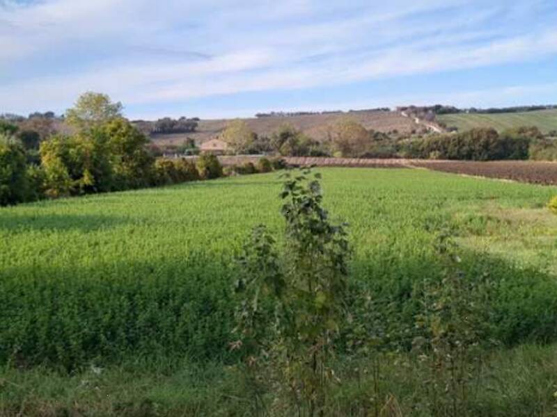 terreno edificabile in vendita a Mondolfo in zona Marotta