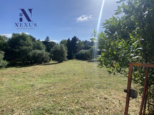 negozio in vendita a Mondolfo in zona Marotta