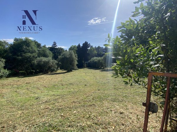 negozio in vendita a Mondolfo in zona Marotta