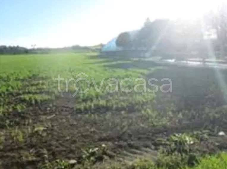 appartamento in vendita a Mondolfo in zona Marotta