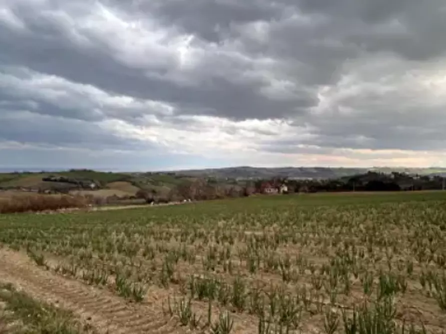 terreno edificabile in vendita a Mondolfo