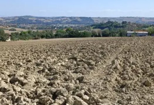 terreno edificabile in vendita a Mondolfo