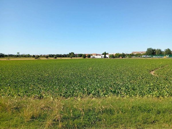 terreno agricolo in vendita a Mondolfo in zona Marotta