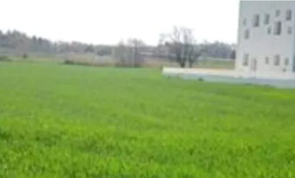 terreno agricolo in vendita a Mondolfo in zona Marotta