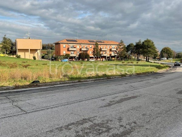 terreno agricolo in vendita a Mondolfo