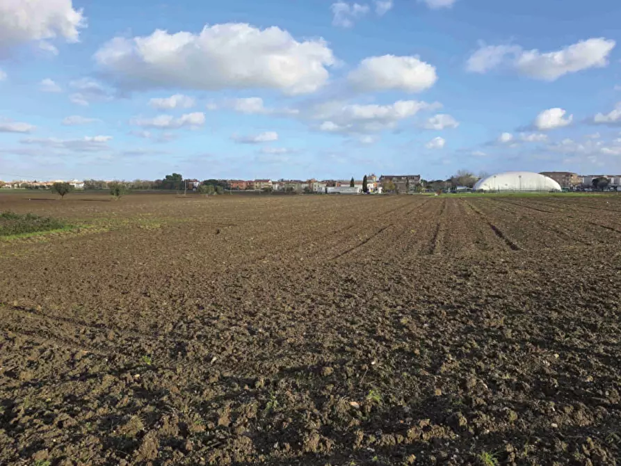 terreno edificabile in vendita a Mondolfo in zona Marotta