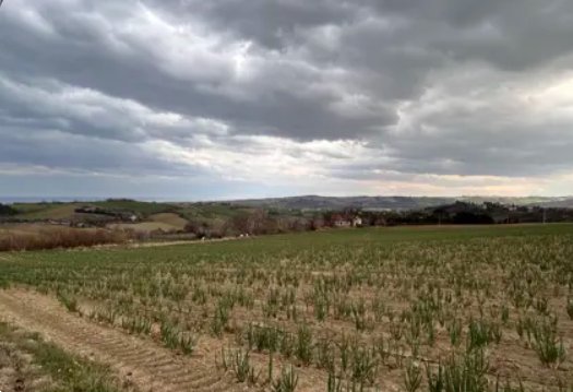 terreno edificabile in vendita a Mondolfo