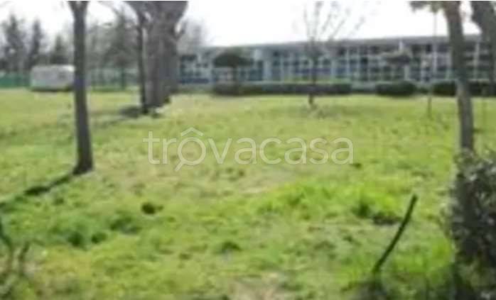 appartamento in vendita a Mondolfo in zona Marotta