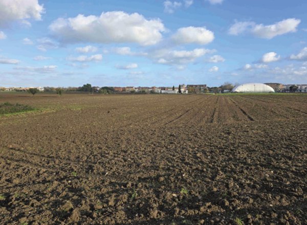 terreno edificabile in vendita a Mondolfo in zona Marotta