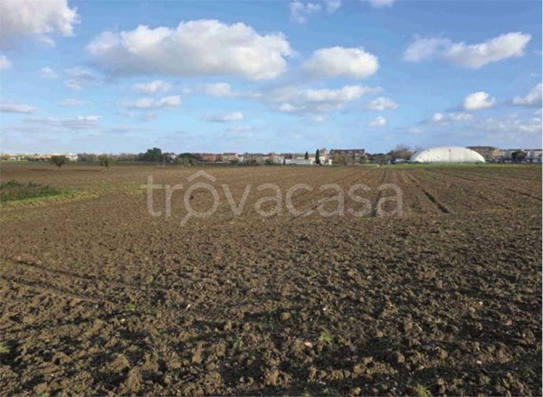 appartamento in vendita a Mondolfo in zona Marotta