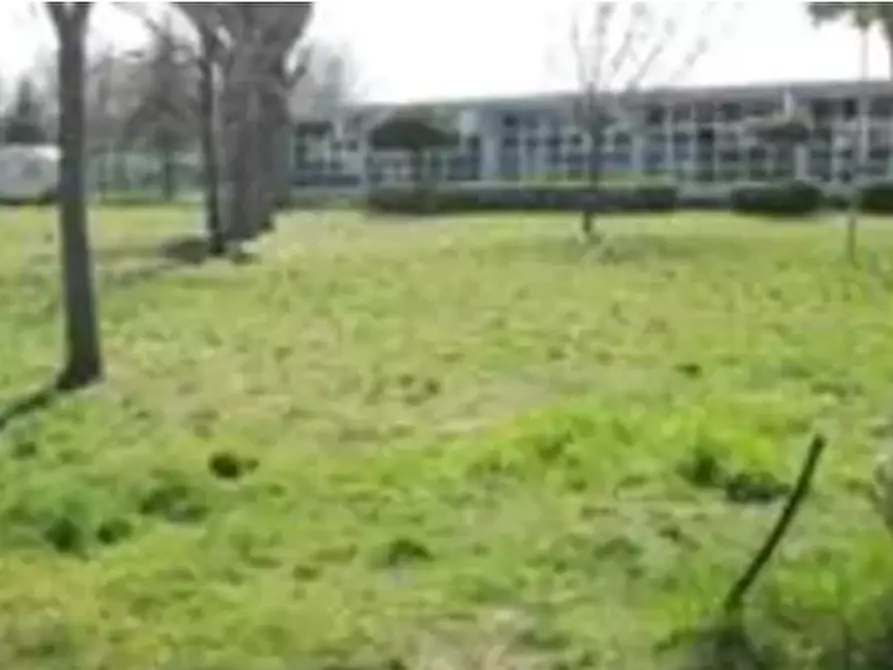 terreno agricolo in vendita a Mondolfo