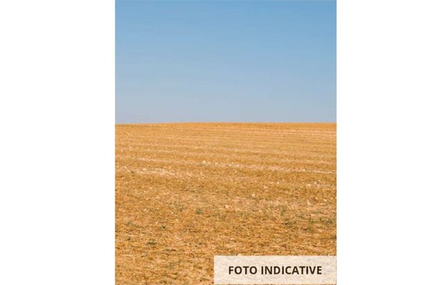 terreno edificabile in vendita a Mondolfo