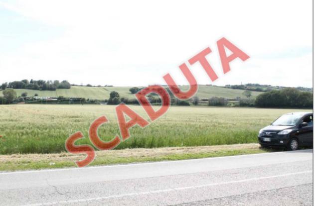 terreno agricolo in vendita a Mondolfo