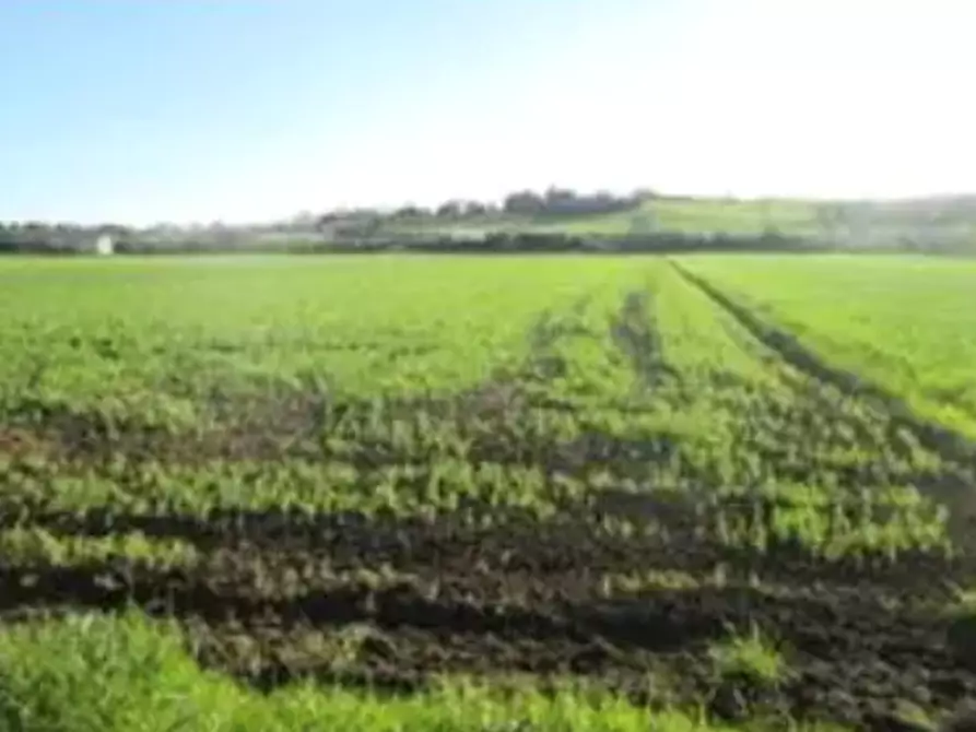 terreno edificabile in vendita a Mondolfo