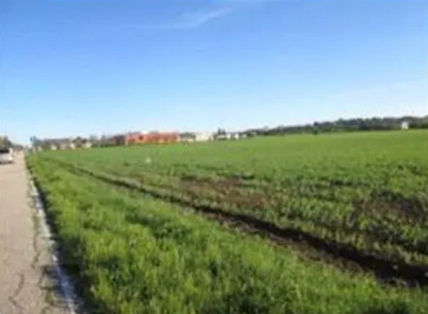 terreno edificabile in vendita a Mondolfo in zona Marotta