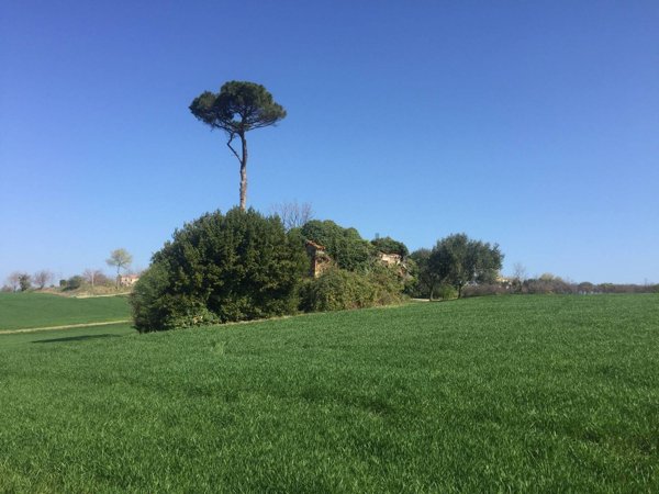 casale in vendita a Mondolfo