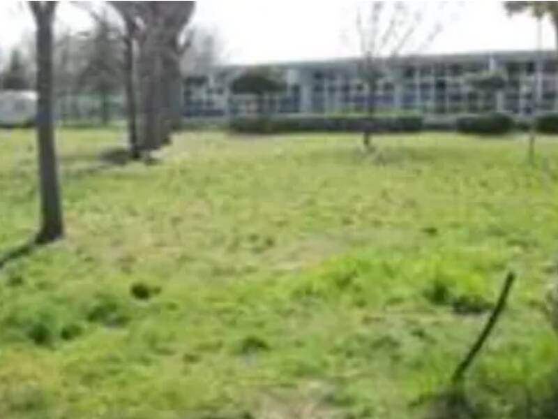 terreno agricolo in vendita a Mondolfo