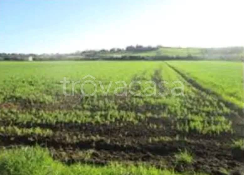 appartamento in vendita a Mondolfo in zona Marotta