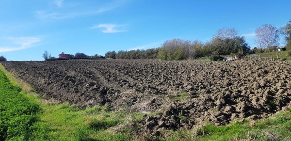 terreno agricolo in vendita a Mondolfo