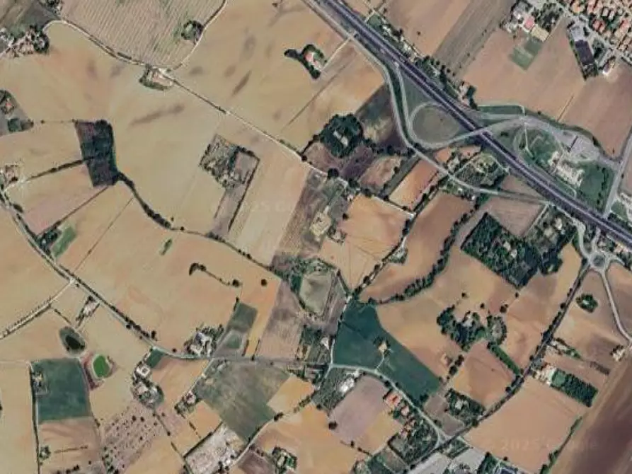 terreno agricolo in vendita a Mondolfo