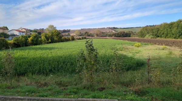 terreno edificabile in vendita a Mondolfo in zona Marotta
