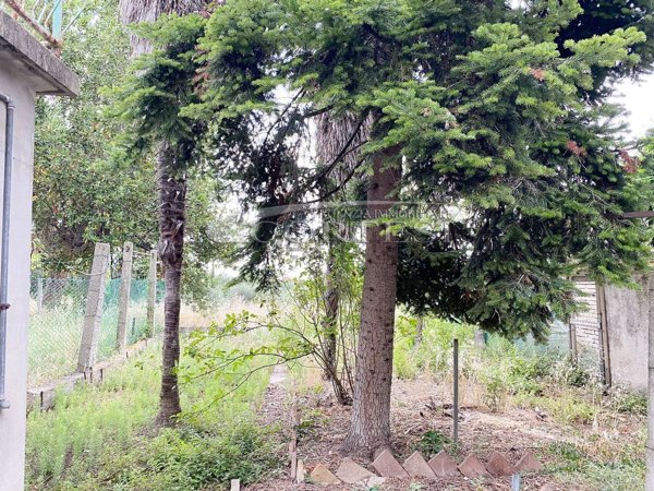 casa indipendente in vendita a Mondolfo