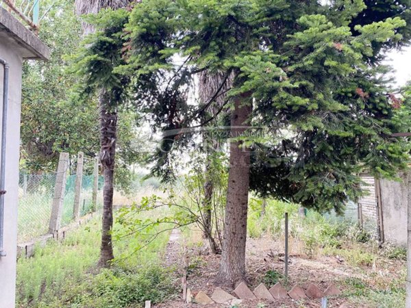 casa indipendente in vendita a Mondolfo