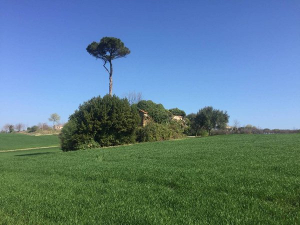 casa indipendente in vendita a Mondolfo