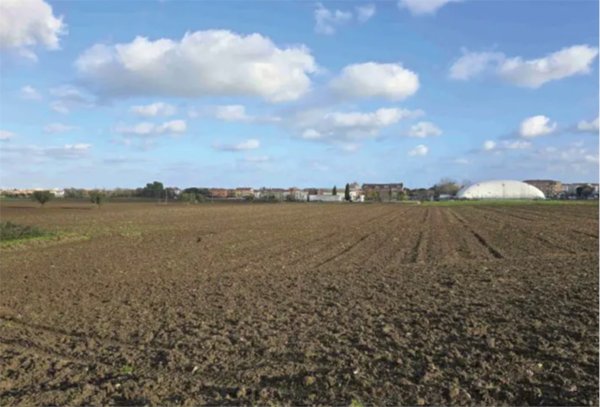 terreno agricolo in vendita a Mondolfo