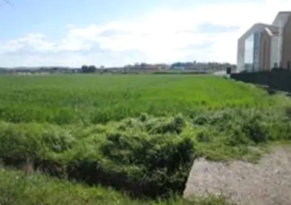 terreno edificabile in vendita a Mondolfo in zona Marotta