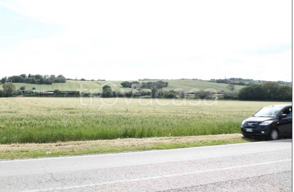 terreno agricolo in vendita a Mondolfo in zona Marotta