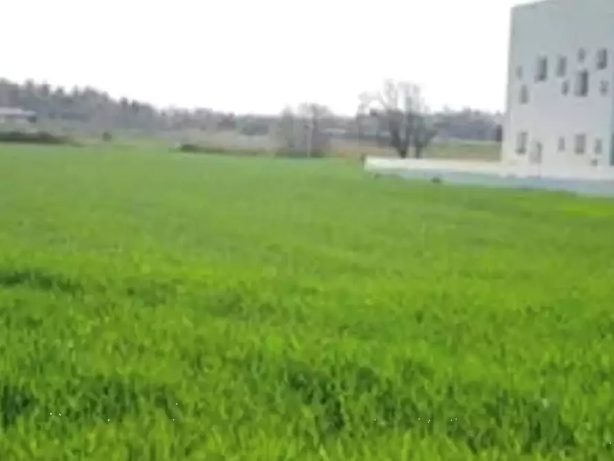 terreno edificabile in vendita a Mondolfo in zona Marotta