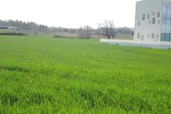 terreno edificabile in vendita a Mondolfo in zona Marotta