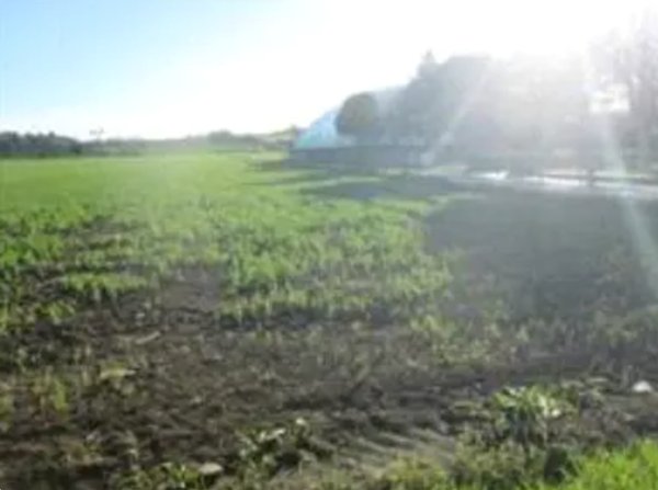 terreno edificabile in vendita a Mondolfo in zona Marotta