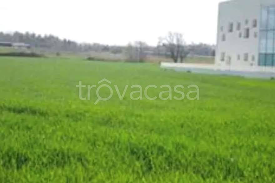 appartamento in vendita a Mondolfo in zona Marotta