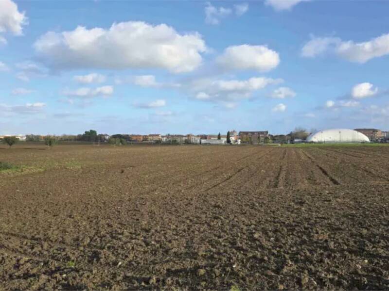 terreno agricolo in vendita a Mondolfo