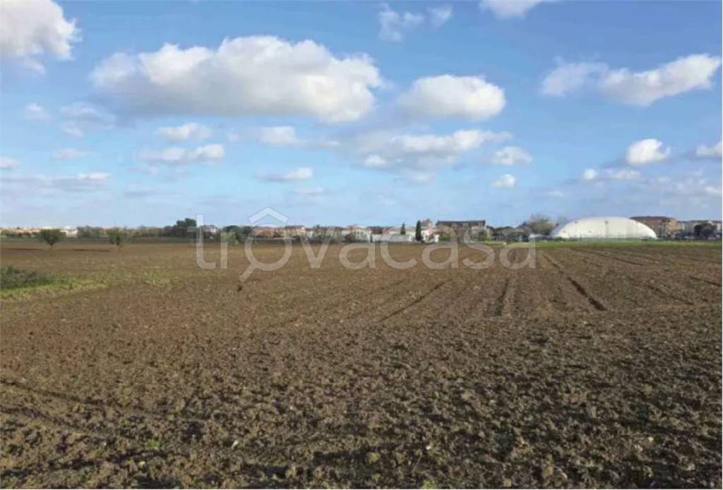 appartamento in vendita a Mondolfo in zona Marotta