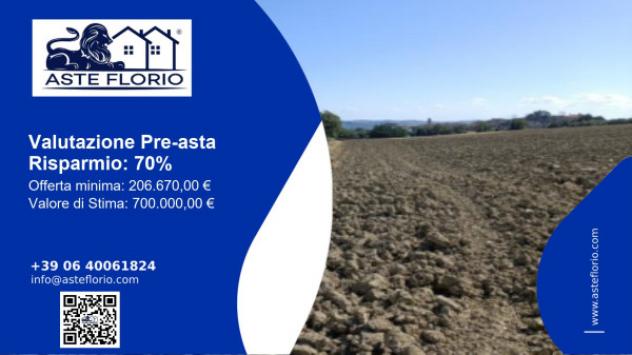 terreno agricolo in vendita a Mondolfo