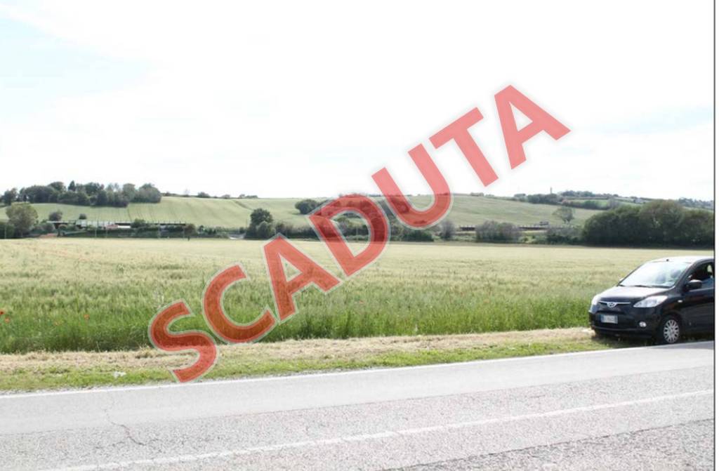 terreno agricolo in vendita a Mondolfo