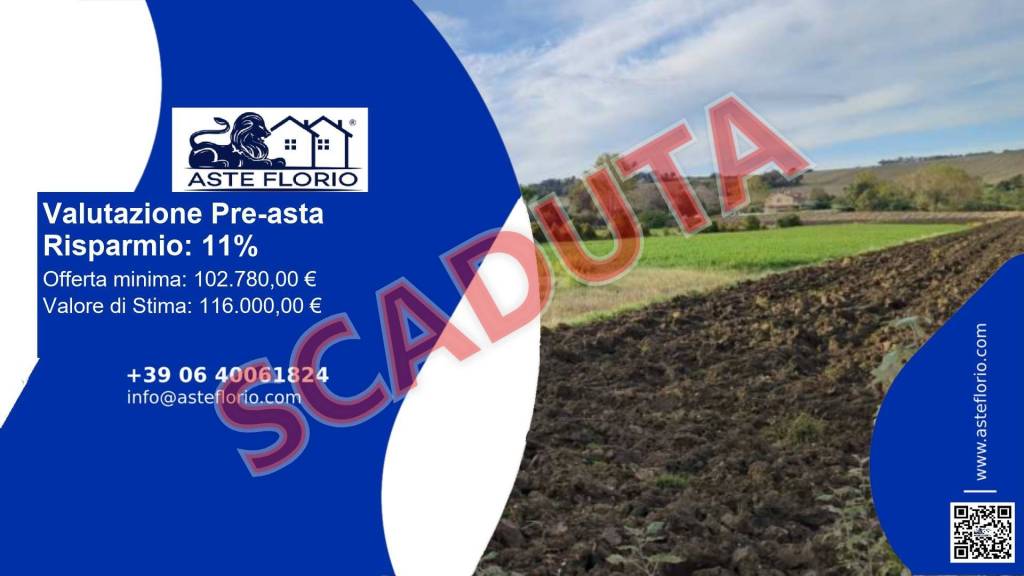 immagine annuncio 0 di 13