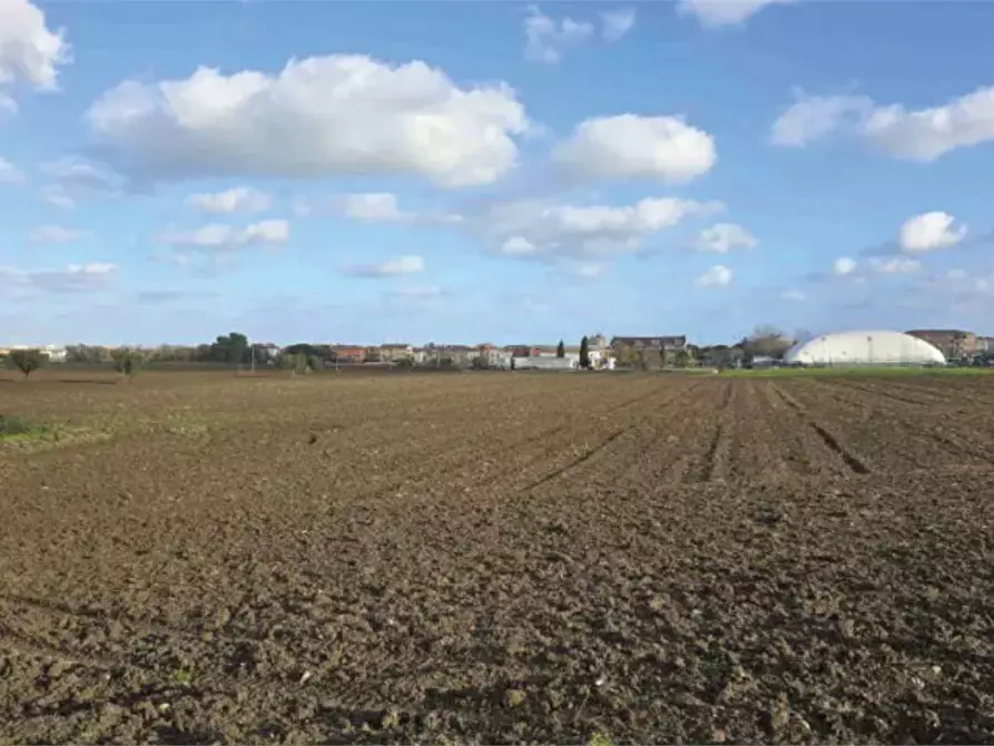 terreno agricolo in vendita a Mondolfo