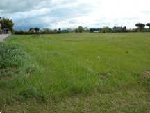 terreno edificabile in vendita a Mondolfo