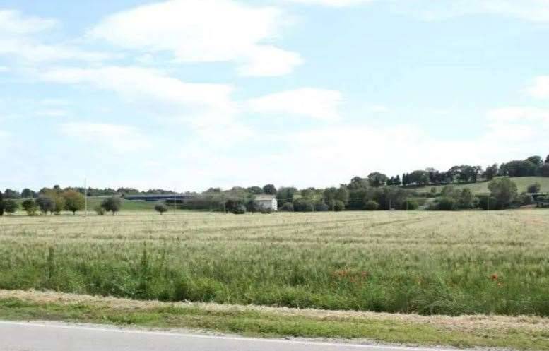 terreno agricolo in vendita a Mondolfo