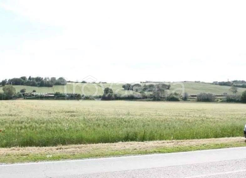 appartamento in vendita a Mondolfo in zona Marotta