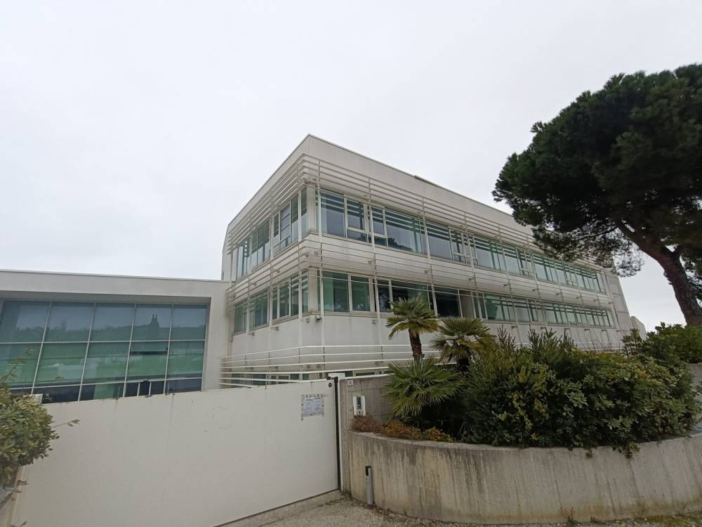 negozio in vendita a Mondolfo in zona Marotta