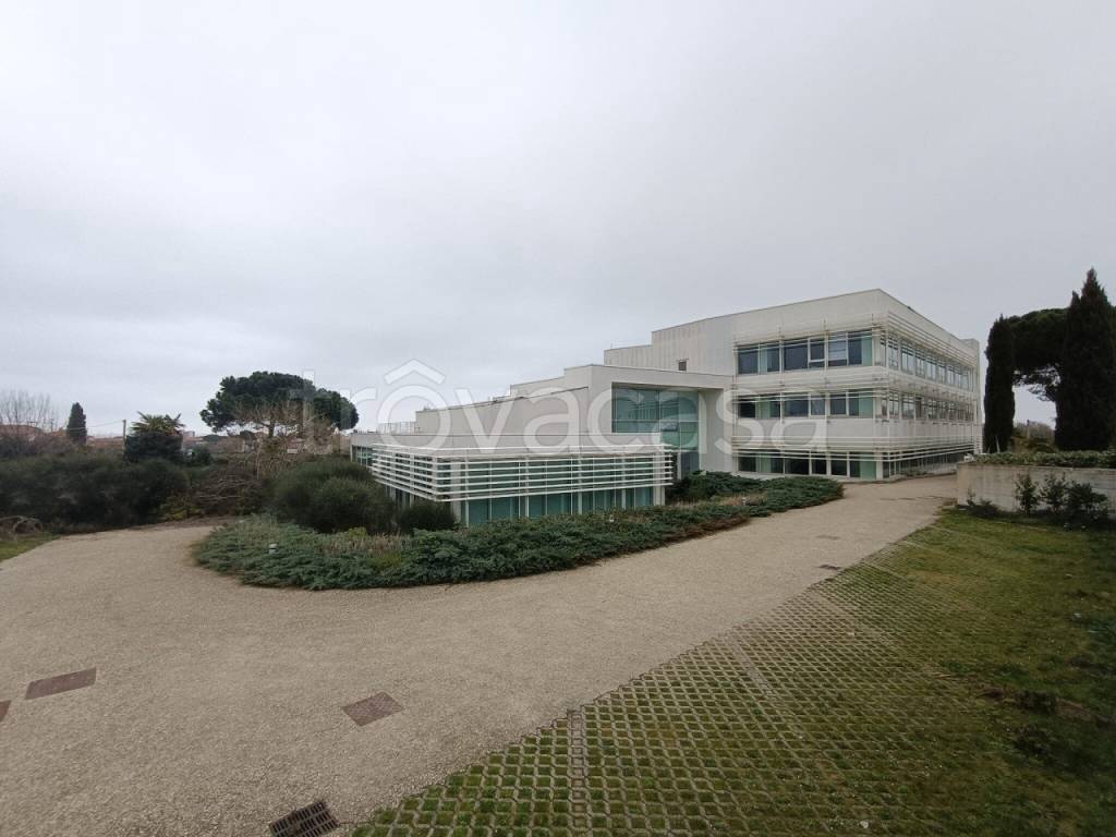 negozio in vendita a Mondolfo in zona Marotta