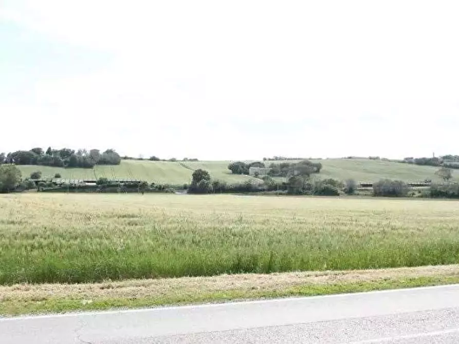 terreno agricolo in vendita a Mondolfo
