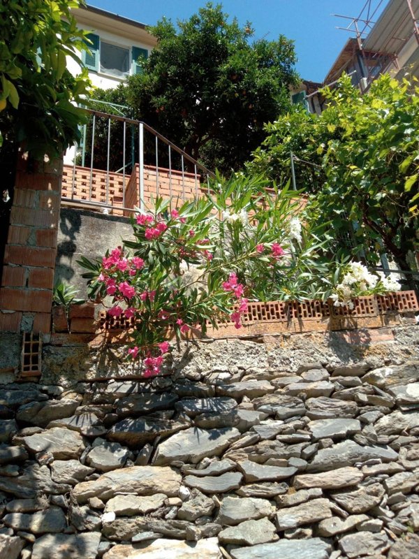 casa indipendente in vendita a Mondolfo