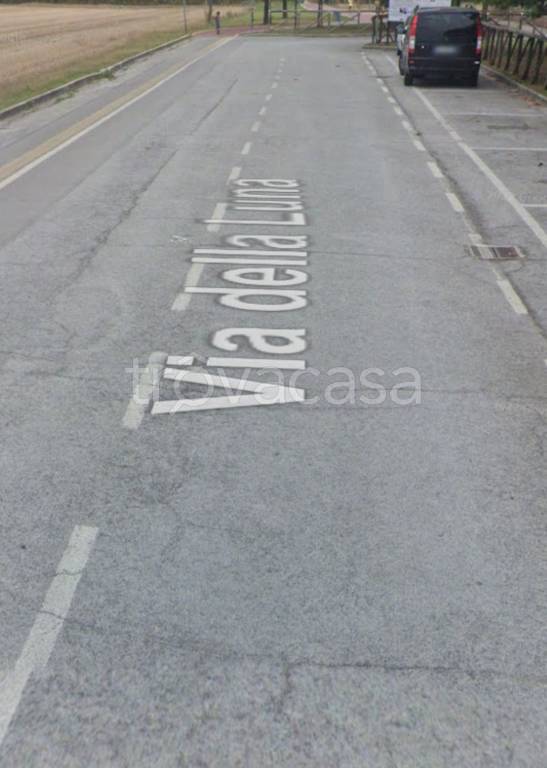 terreno agricolo in vendita a Mondolfo